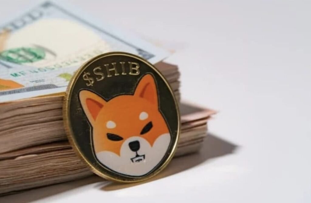 Shiba Inu outflows surge