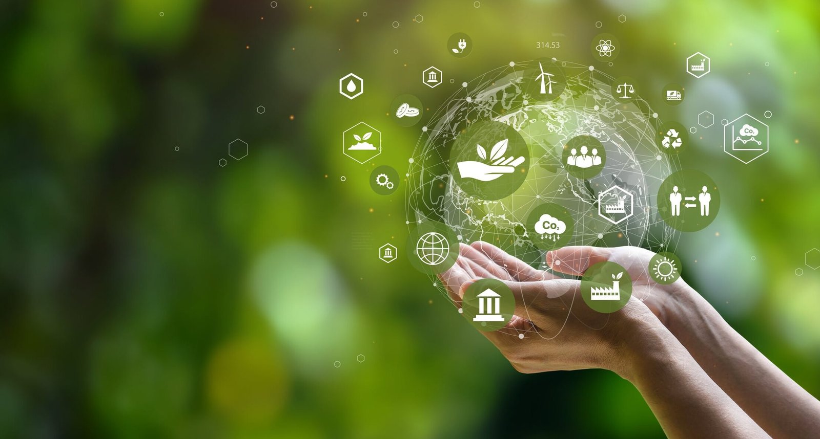 Expansion Innovation Sustainability