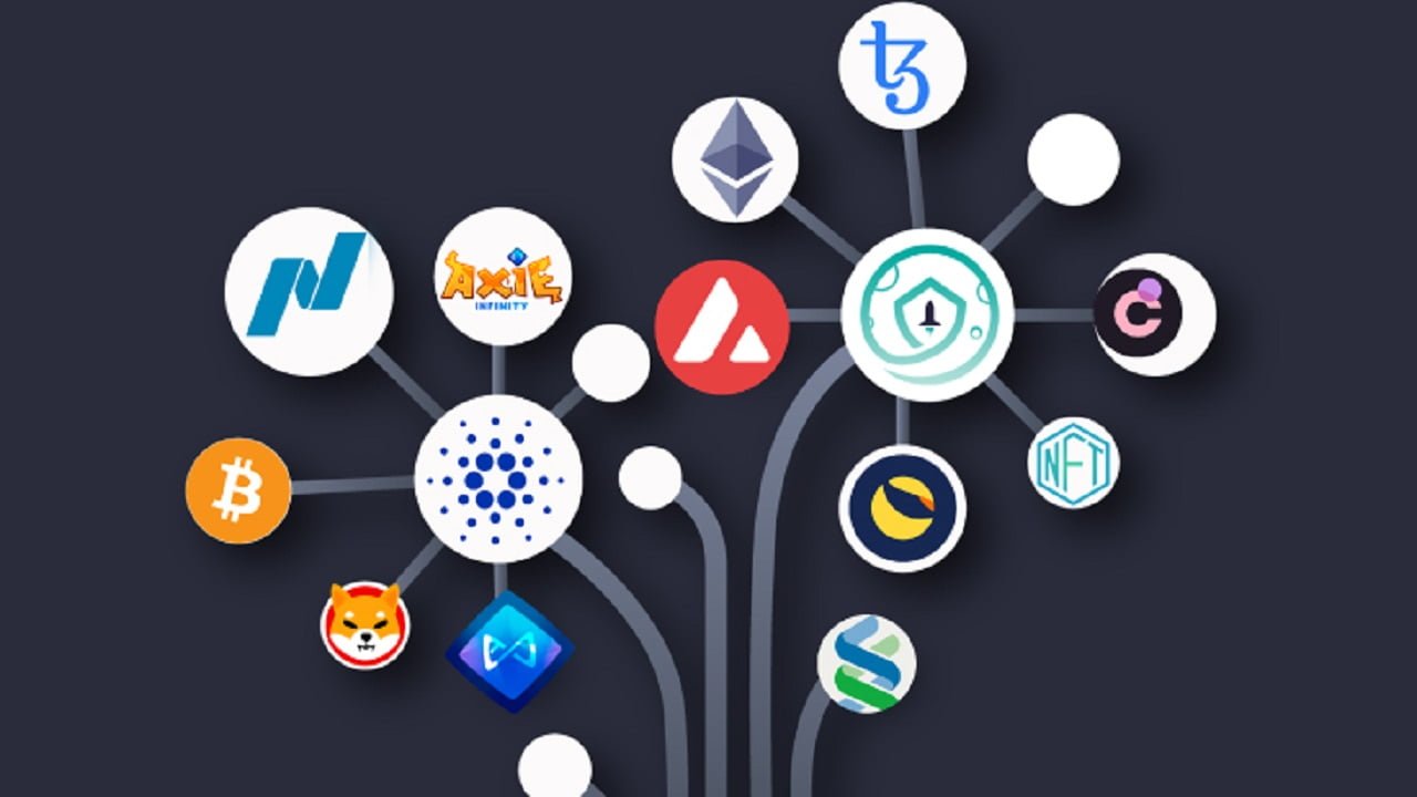XRP’s Expanding Ecosystem and Innovation