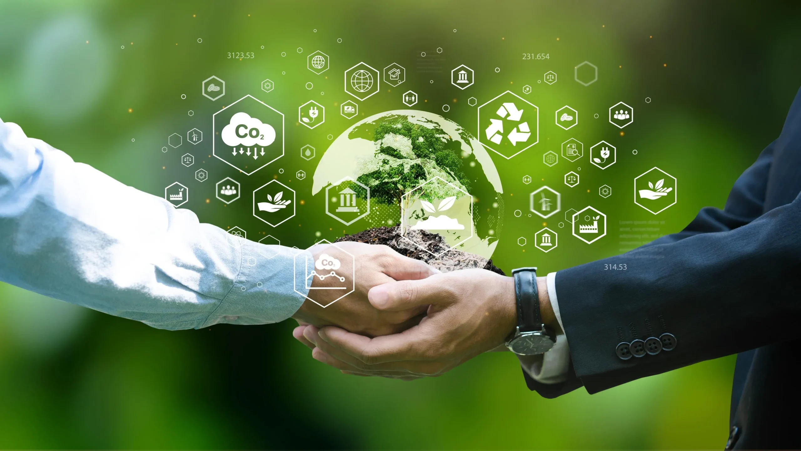 Environmental Compliance and Sustainable Mining Practices