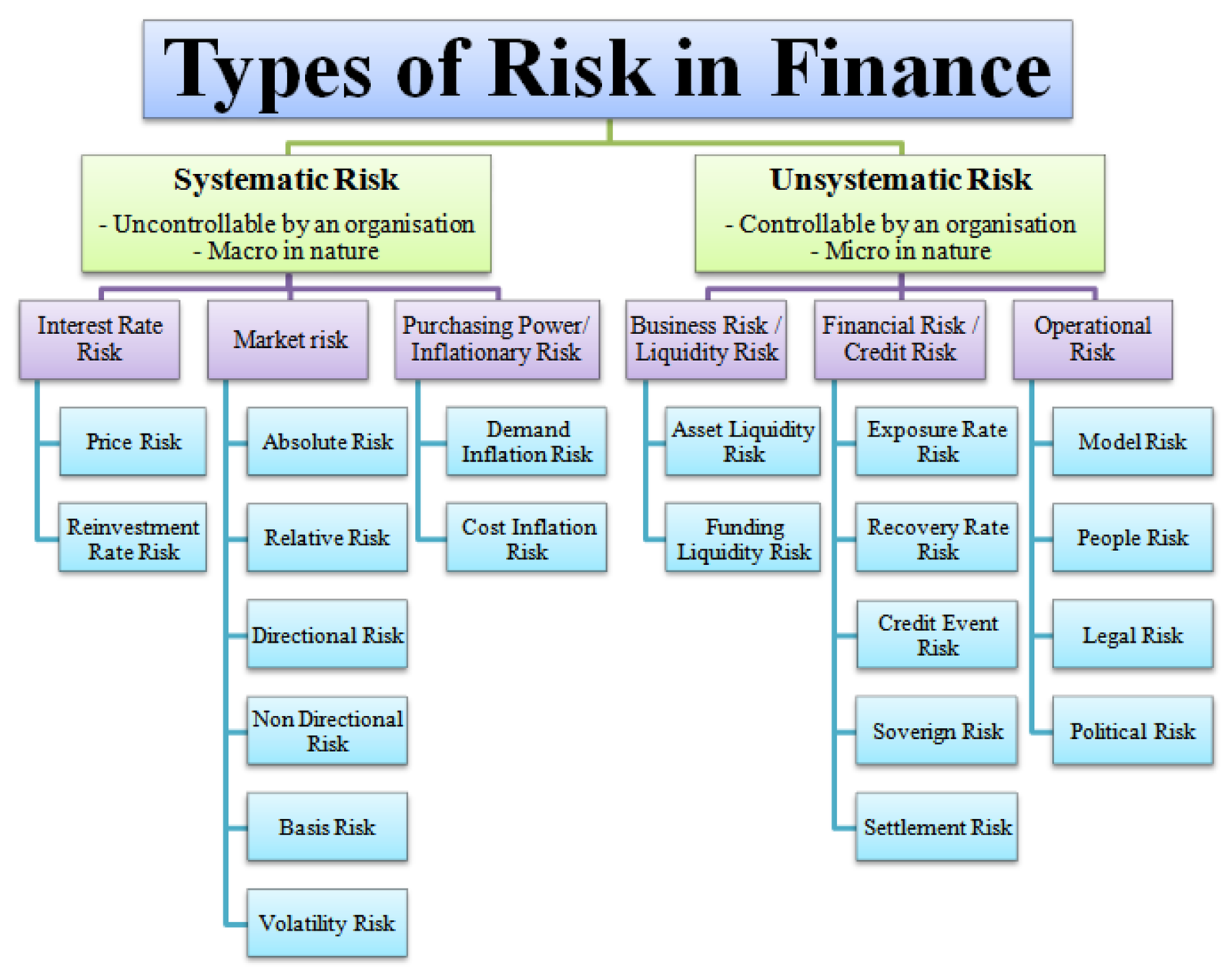 Risk Factors and Market Volatility Considerations